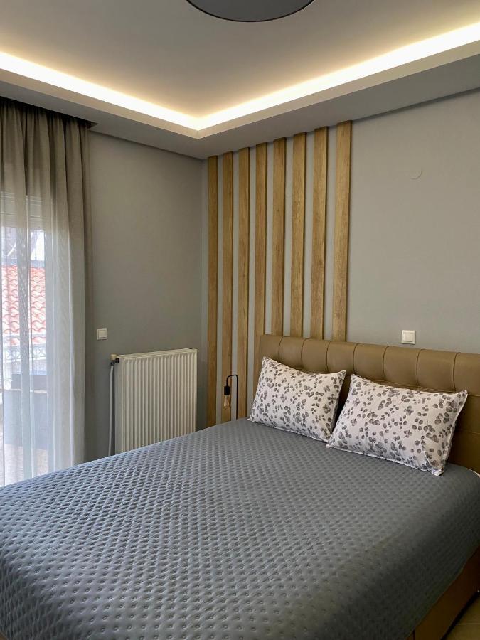 Comfortable & Quiet Apartment 2 アレクサンドルポリス エクステリア 写真